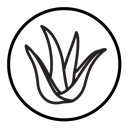 Aloe vera icon