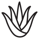 Aloe vera (2) icon