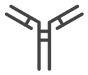Antibody icon