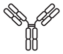 Antibody icon