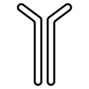 Antibody Y Structure icon