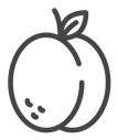 Apricot icon