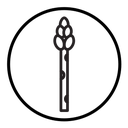 Asparagus icon