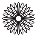 Aster icon
