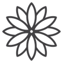 Aster icon