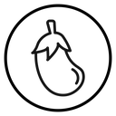 Aubergine icon