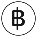 Baht sign 2 icon