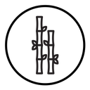 Bamboo icon