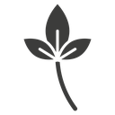 Basil icon