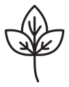 Basil icon