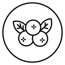 Berry Blossom Branch icon