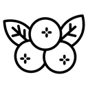 Berry Blossom Branch icon