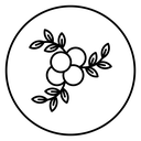 Berry Branch icon