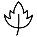 Birch leaf 2 icon