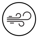 Blowing wind icon