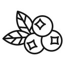 Blueberries icon