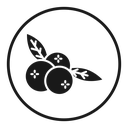 Blueberries icon
