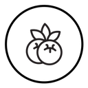 Blueberry icon