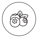 Blueberry 3 icon