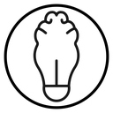 Brain idea icon