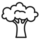 Broccoli 2 icon