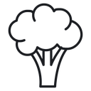 Broccoli icon