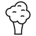 Broccoli icon