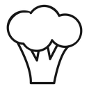 Broccoli icon