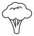 Broccoli icon