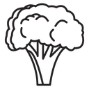 Broccoli (2) icon