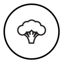 Broccoli icon