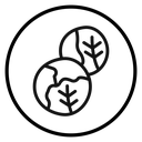 Brussels sprouts Cabbage icon