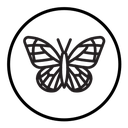 Butterfly icon