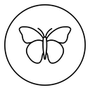 Butterfly 2 icon