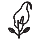 Calla icon