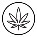 Cannabis leafs icon