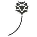 Carnation icon