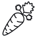 Carrot 4 icon