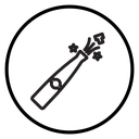 Champagne bottle icon