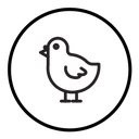 Chick icon