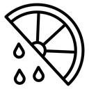 Citrus slice icon
