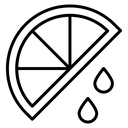 Citrus slice icon