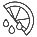 Citrus slice icon
