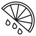 Citrus slice 2 icon