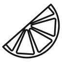 Citrus slice 4 icon