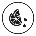 Citrus slice icon