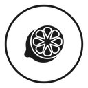 Citrus icon