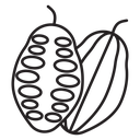 Cocoa Beans icon