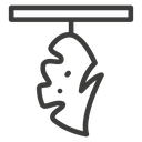 Cocoon 2 icon