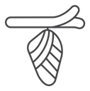 Cocoon icon